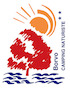 Borvo Logo